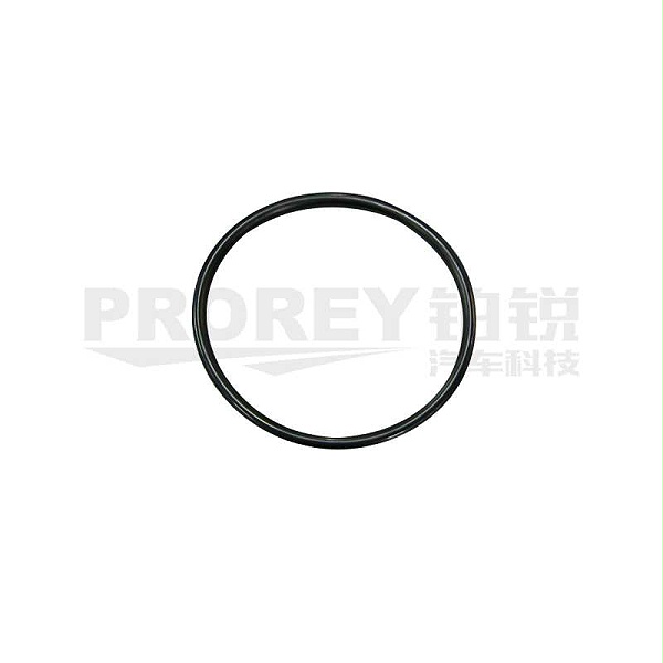 PULI 浦力 FJ08001005307 O型环