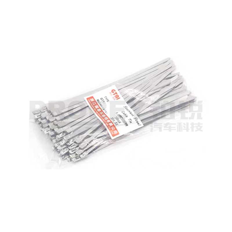 4.6MM*100MM 304不锈钢扎带